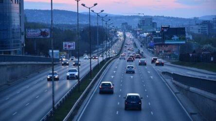 ما هي البطاقة الدولية للتأمين على السيارة؟